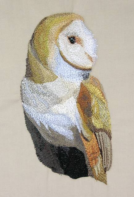 BFC0504 Owls