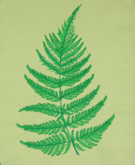 BFC0505 Ferns and Flowers