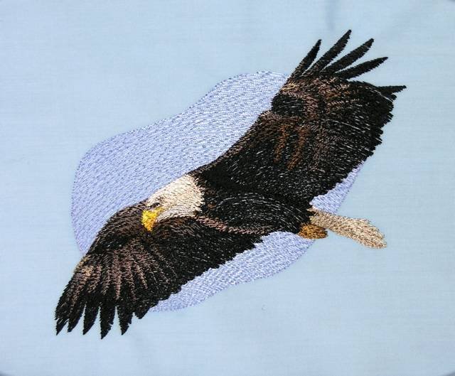 BFC0509 Eagles in Flight