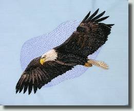 BFC0509 Eagles in Flight-02