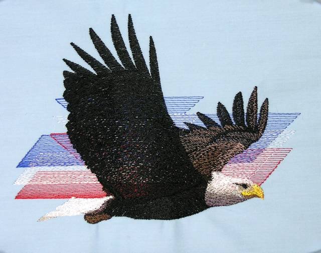BFC0509 Eagles in Flight