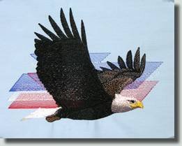 BFC0509 Eagles in Flight-03