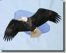 BFC0509 Eagles in Flight-05