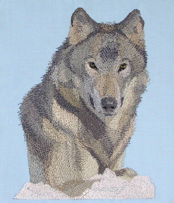 BFC0514 Wolves