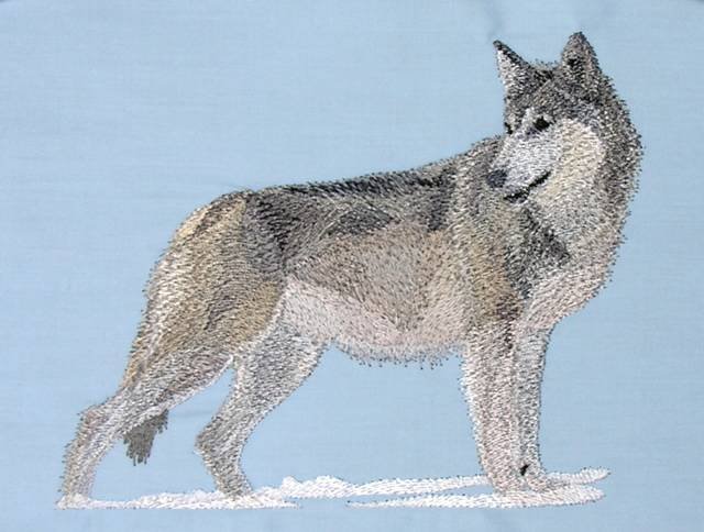 BFC0514 Wolves