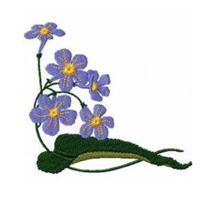 RMG514 Cape Primrose