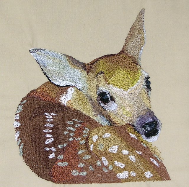 BFC0517 Deer