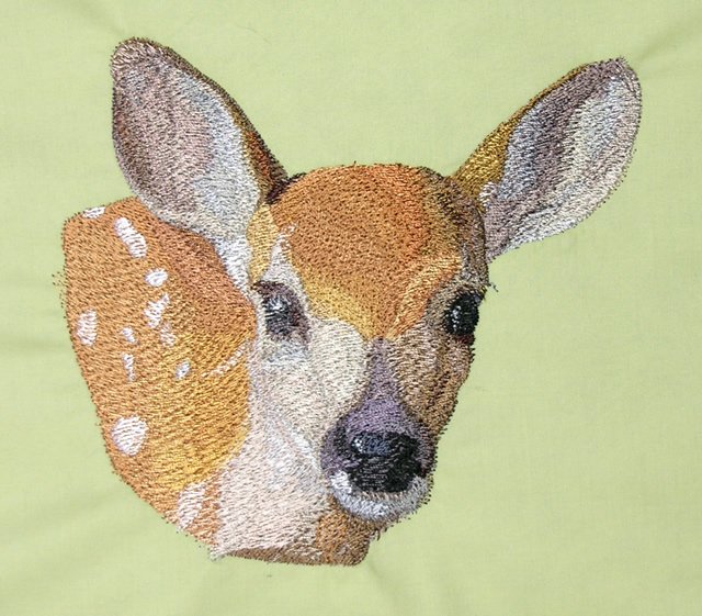 BFC0517 Deer