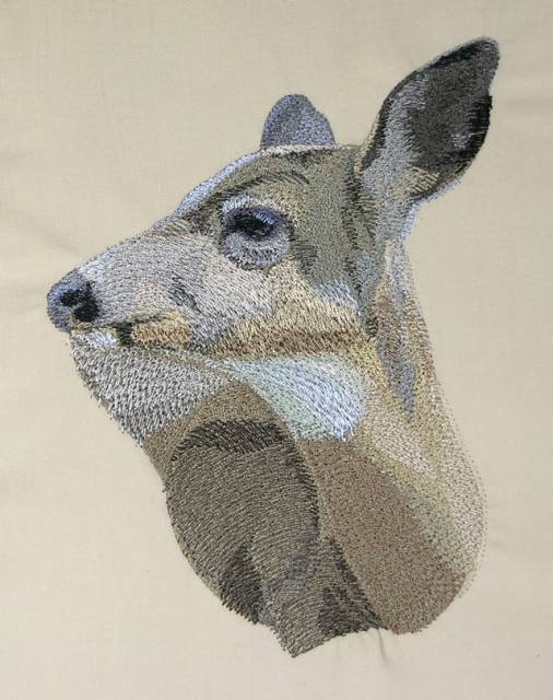BFC0517 Deer