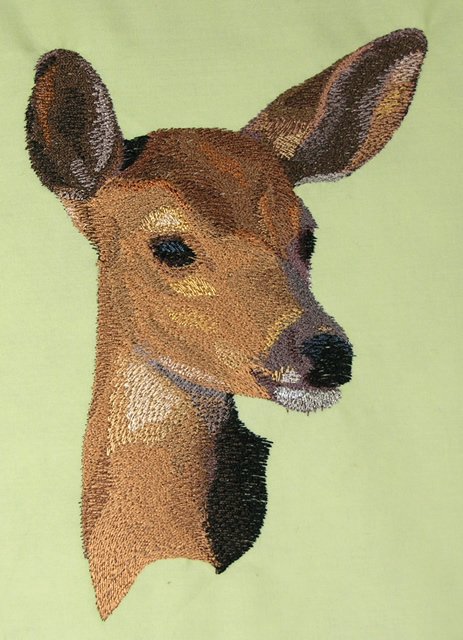BFC0517 Deer