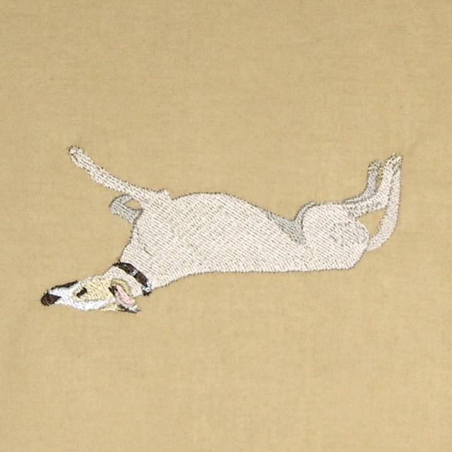 BFC0526 Greyhounds