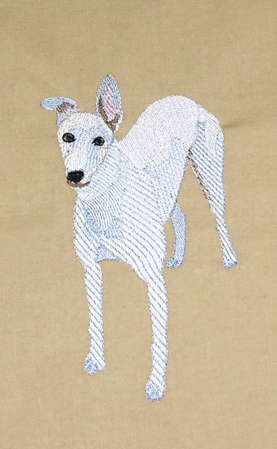 BFC0526 Greyhounds