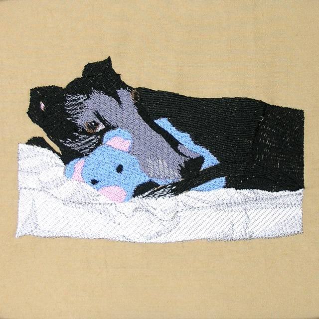BFC0526 Greyhounds