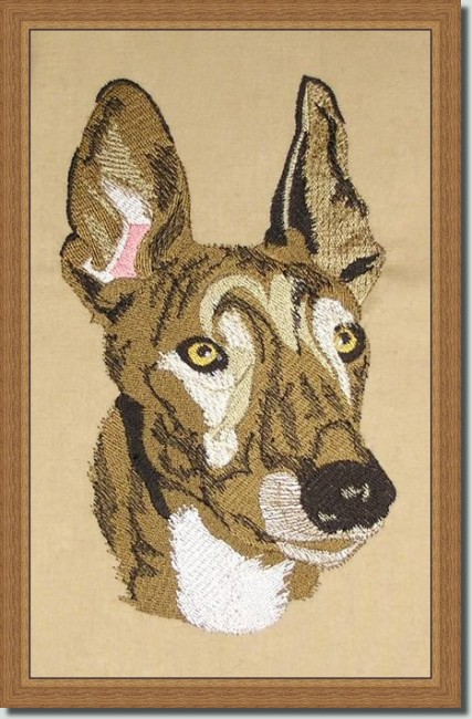 BFC0526 Greyhounds