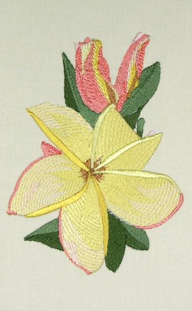 BFC0527 Plumeria