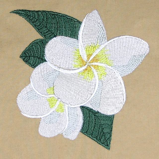 BFC0527 Plumeria