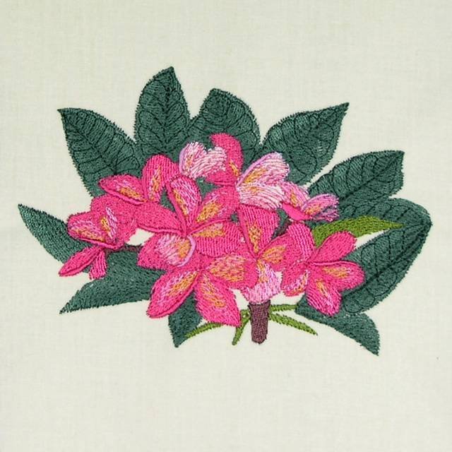 BFC0527 Plumeria