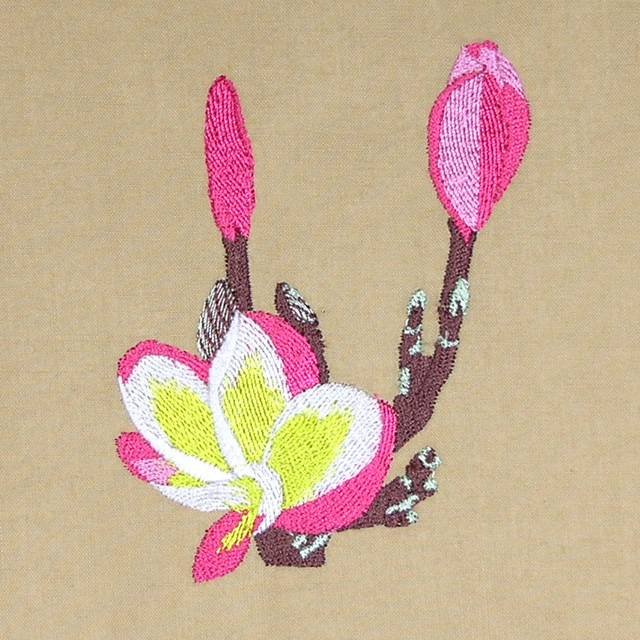 BFC0527 Plumeria