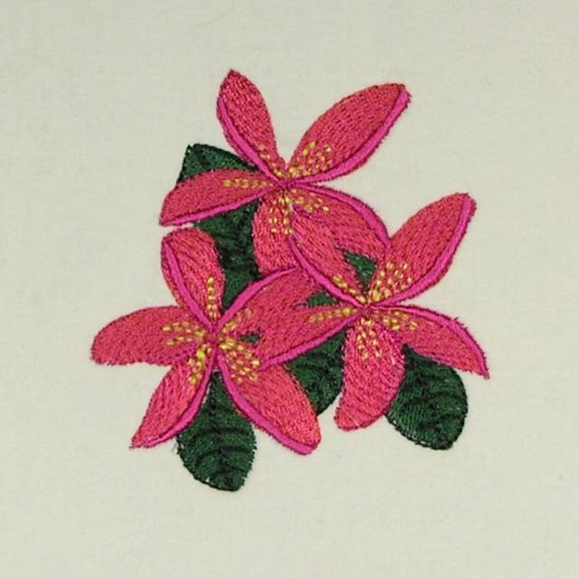 BFC0527 Plumeria