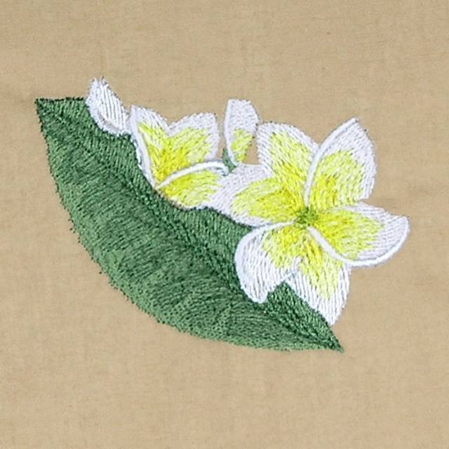 BFC0527 Plumeria