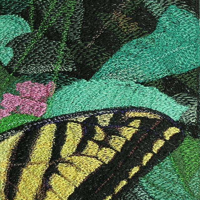 BFC0540 Butterflies