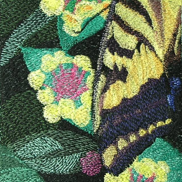 BFC0540 Butterflies