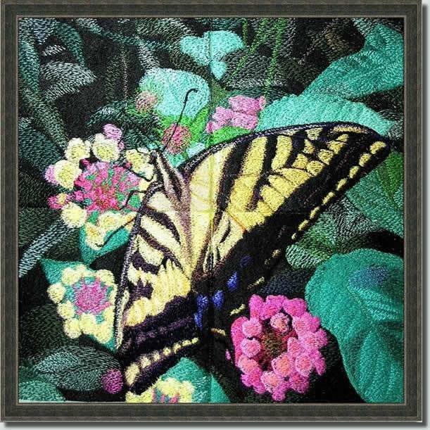 BFC0540 Butterflies