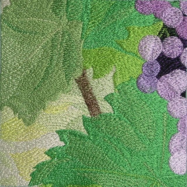BFC0544 Window - Grapes