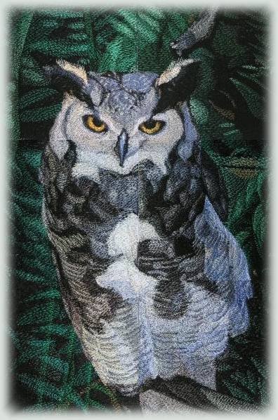 BFC0550 Window - Owl