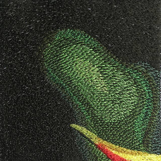 BFC0554 Bird of Paradise