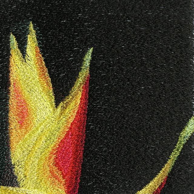 BFC0554 Bird of Paradise