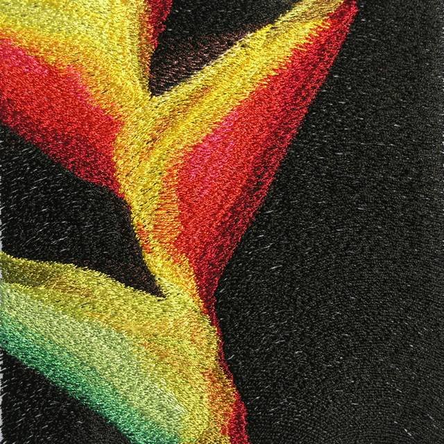 BFC0554 Bird of Paradise