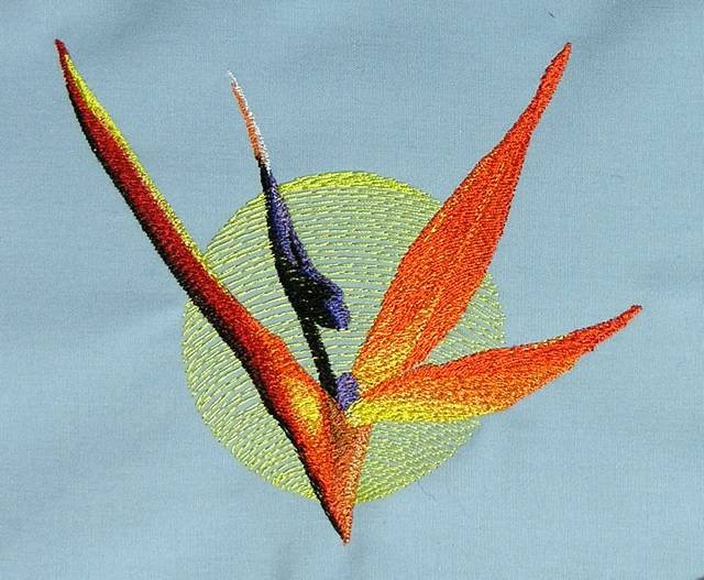 BFC0554 Bird of Paradise