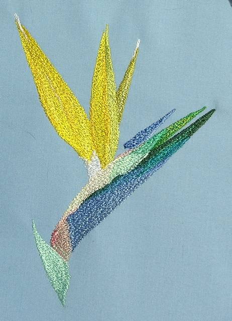 BFC0554 Bird of Paradise