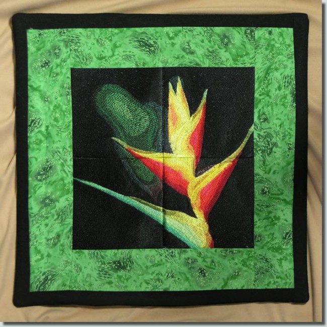 BFC0554 Bird of Paradise