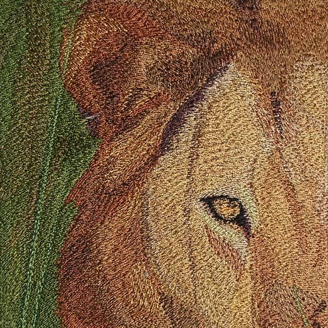 BFC0557 Window-Lion