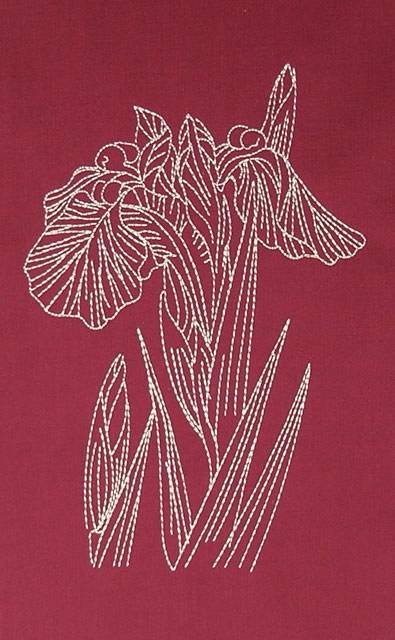 BFC0559 Oriental Lace - Flora