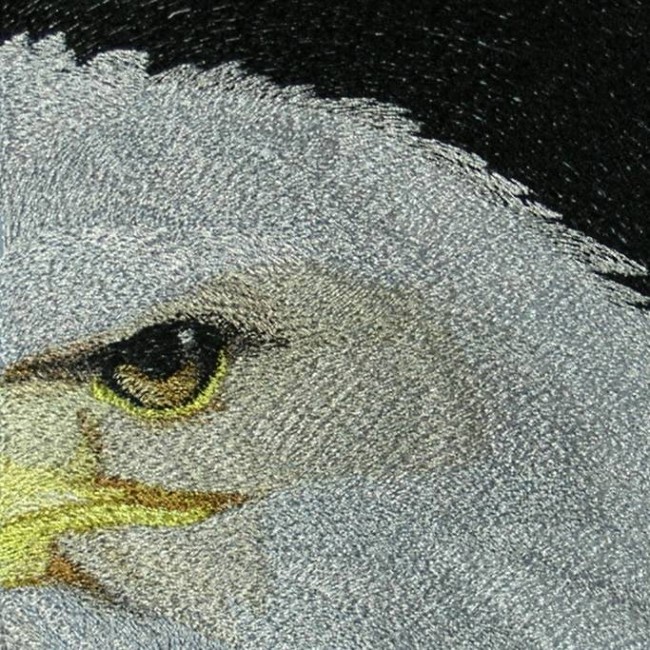 BFC0561 Window-Eagle