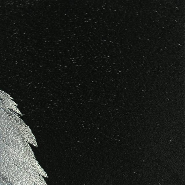 BFC0561 Window-Eagle