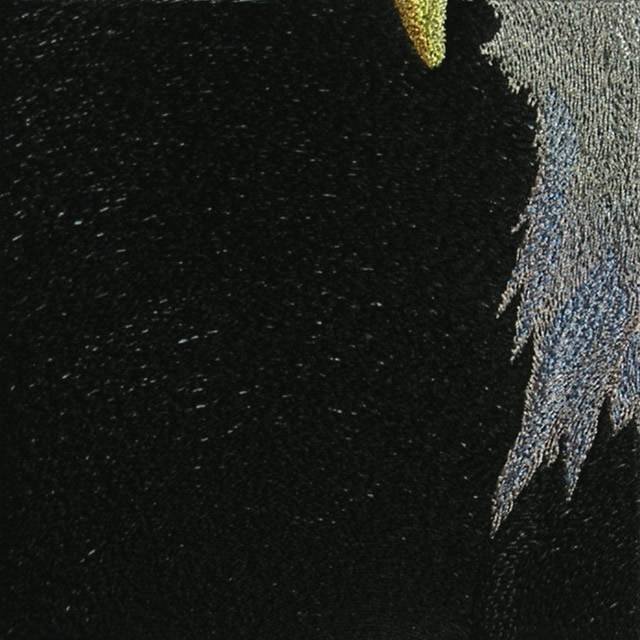 BFC0561 Window-Eagle