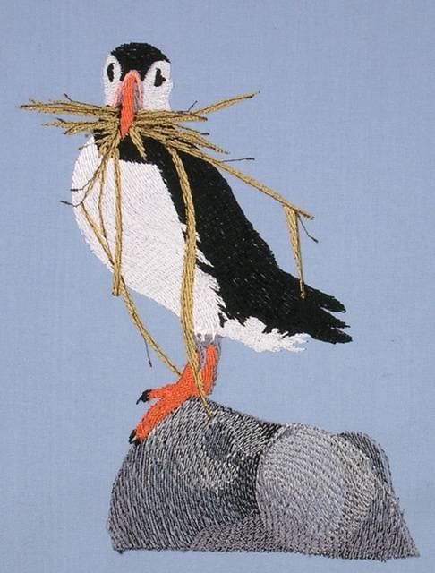 BFC0563 Puffins