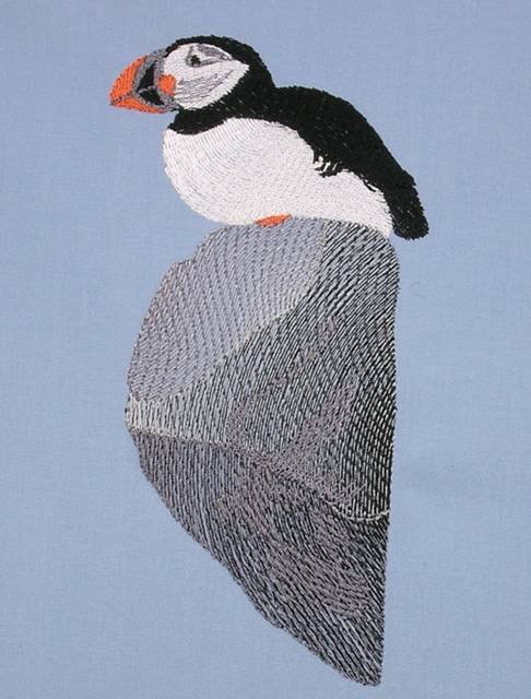 BFC0563 Puffins