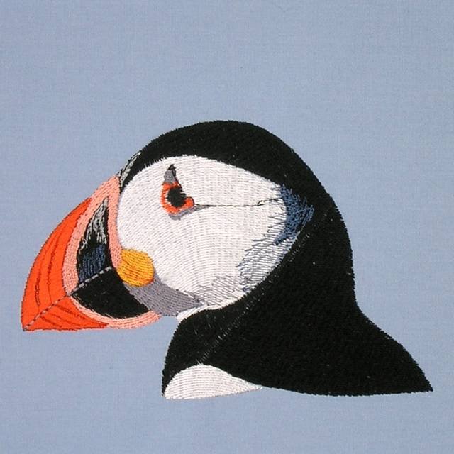 BFC0563 Puffins