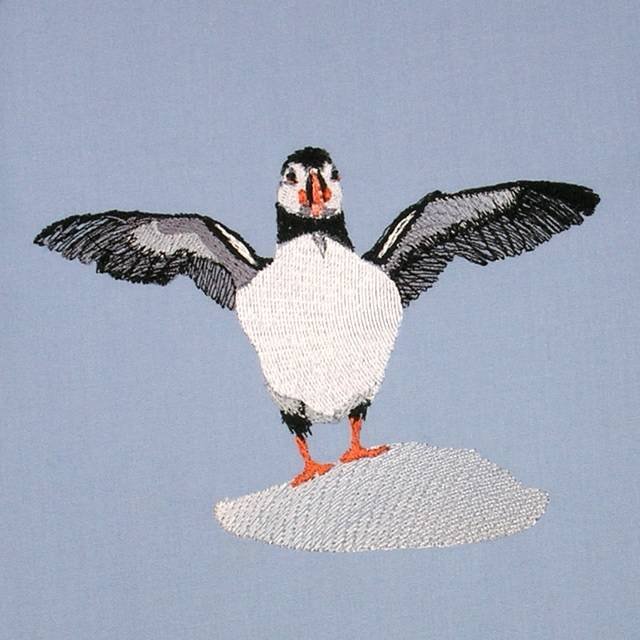 BFC0563 Puffins