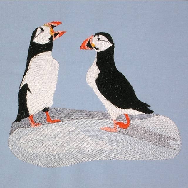 BFC0563 Puffins