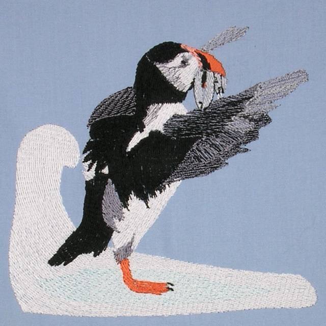 BFC0563 Puffins