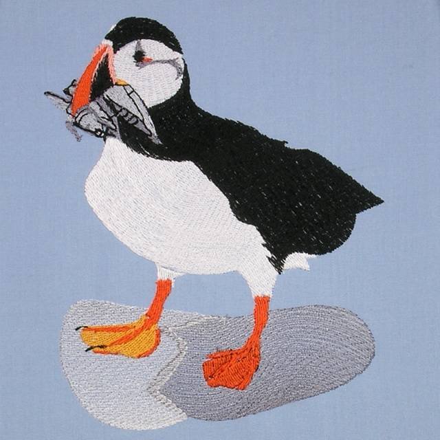 BFC0563 Puffins
