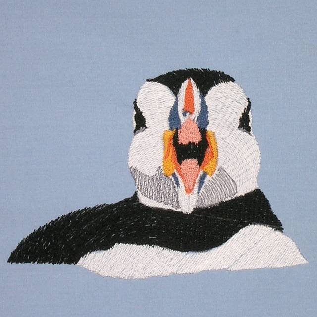 BFC0563 Puffins