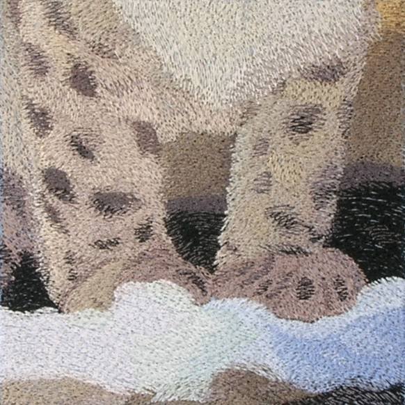 BFC0564 Window-Snow Leopard