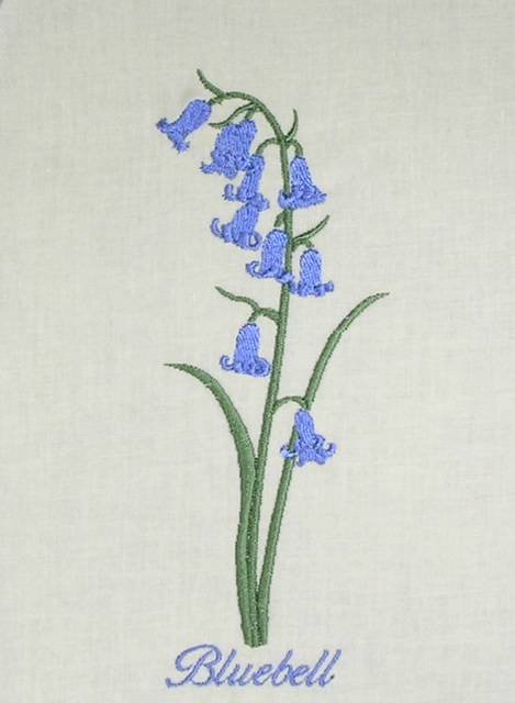 BFC0571 Wildflowers
